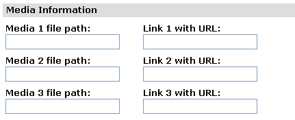 Fig 12.10 - Item maintenance (media information).png